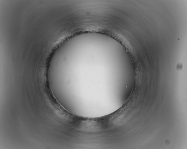 X0000096380354200802071518