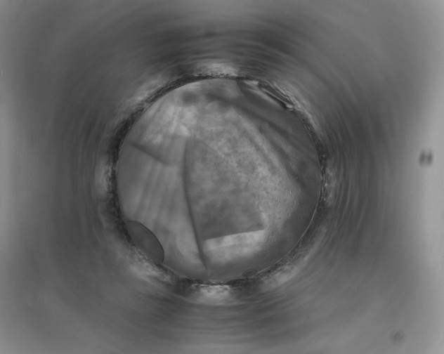 X0000096380355200802071518