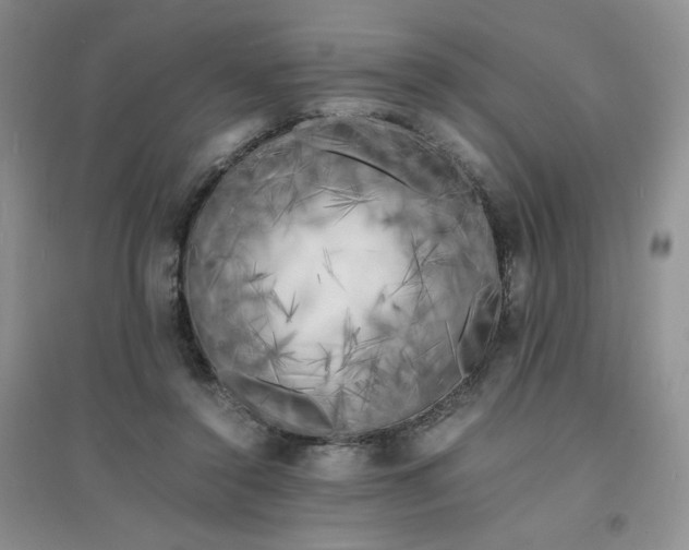 X0000096380356200802071518