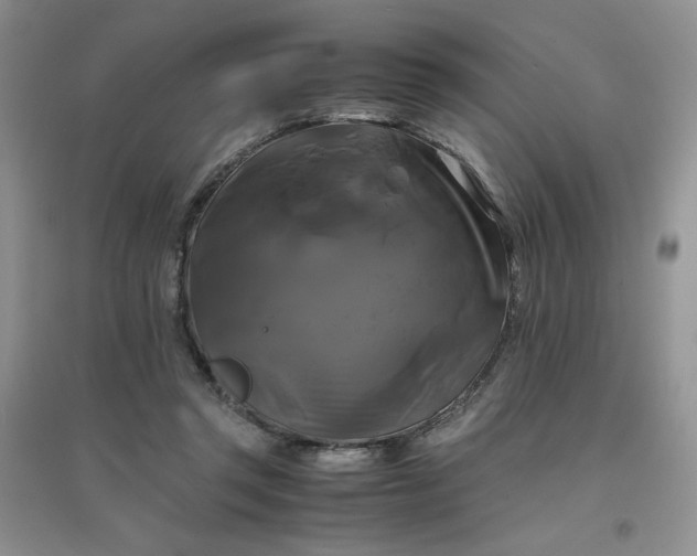 X0000096380357200802071518