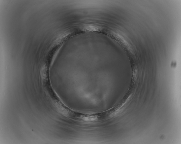 X0000096380359200802071518