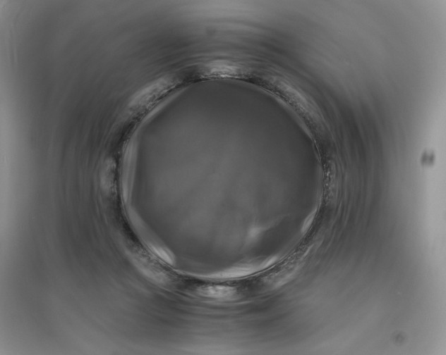 X0000096380361200802071518