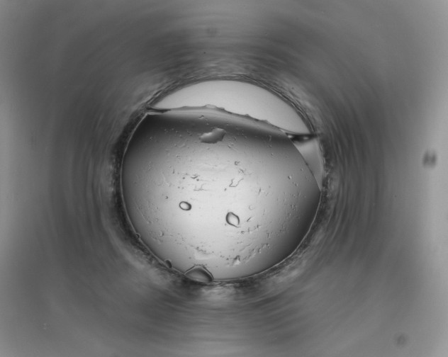 X0000096380362200802071518