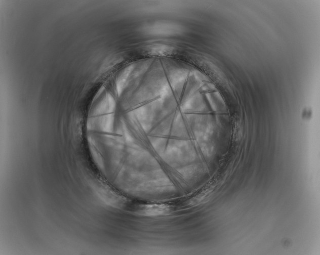 X0000096380363200802071518