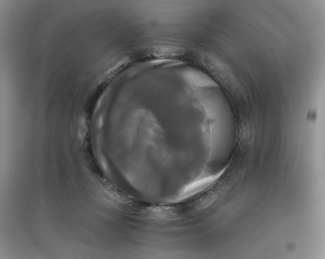 X0000096380367200802071518