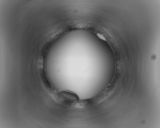 X0000096380368200802071518