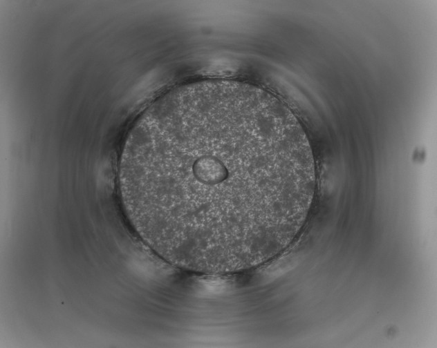 X0000096380370200802071518