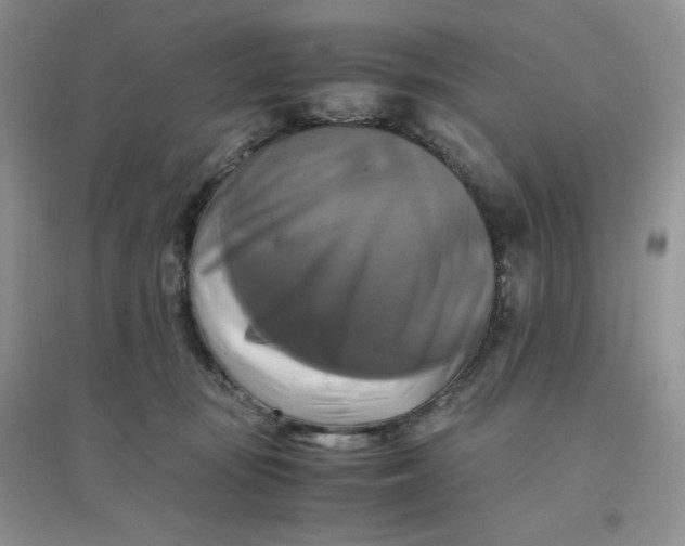 X0000096380371200802071518