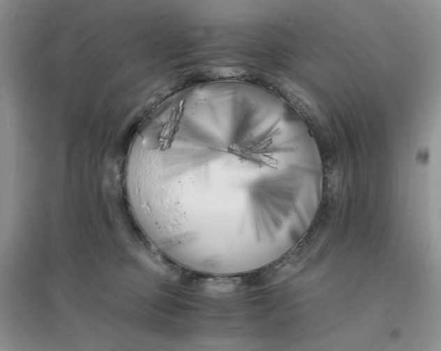 X0000096380373200802071518