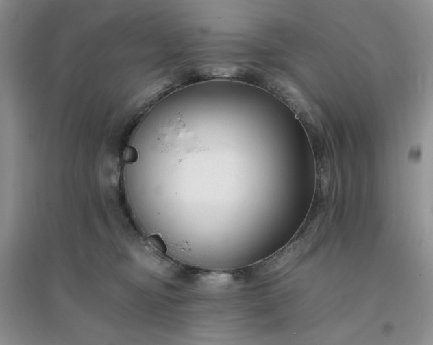 X0000096380374200802071519