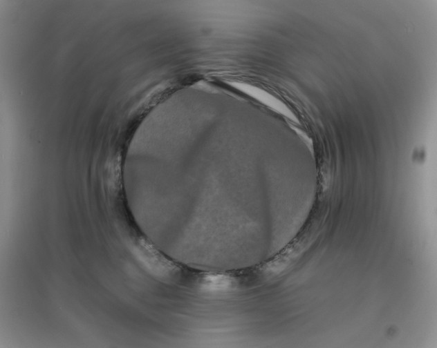 X0000096380376200802071519