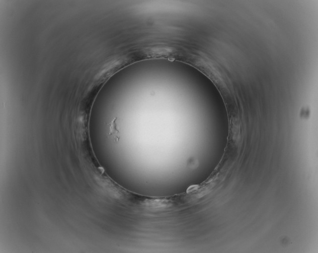 X0000096380378200802071519