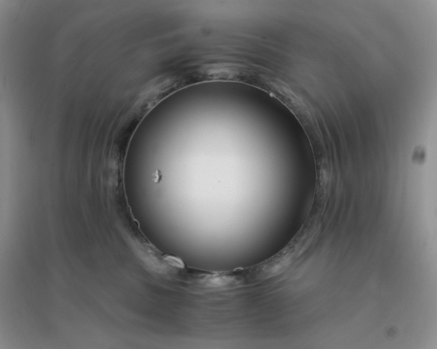 X0000096380379200802071519