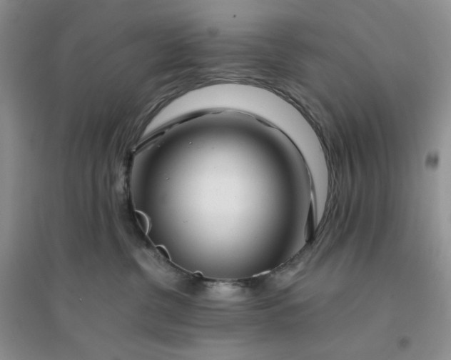 X0000096380380200802071519