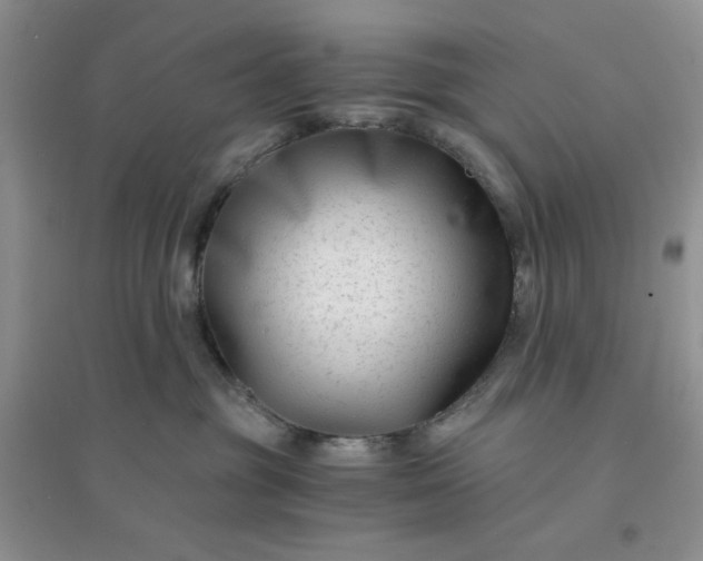 X0000096380381200802071519