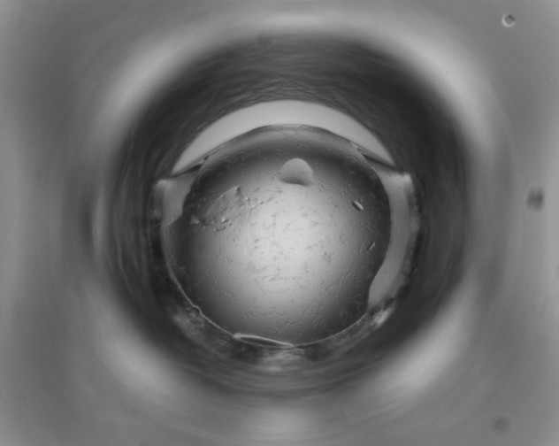 X0000096380382200802071519