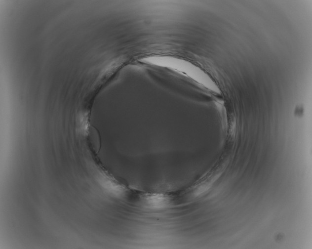 X0000096380383200802071519