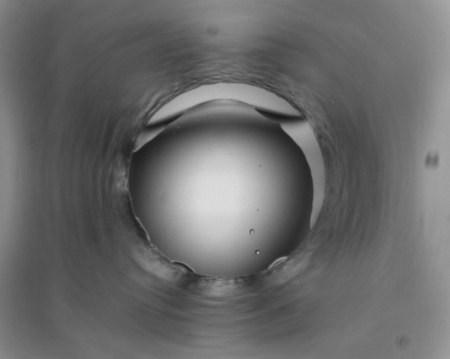 X0000096380384200802071519