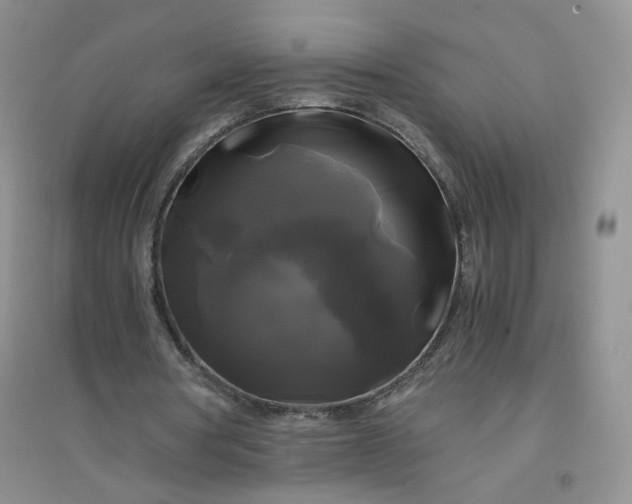 X0000096380386200802071518