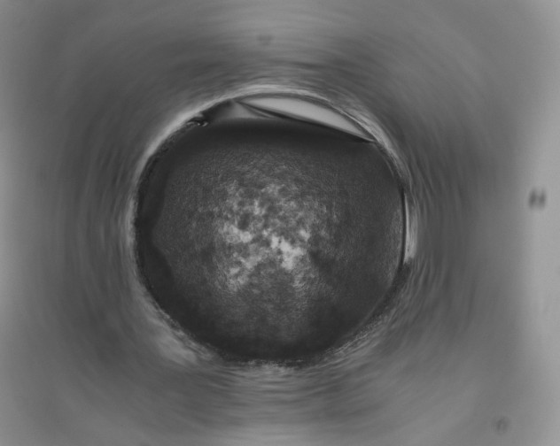 X0000096380387200802071518