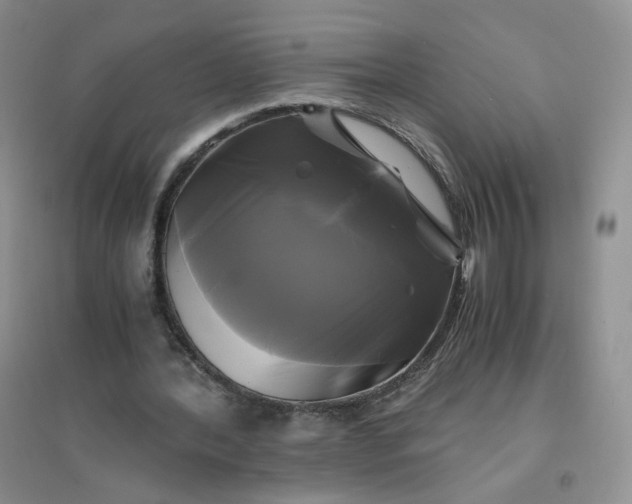 X0000096380388200802071518