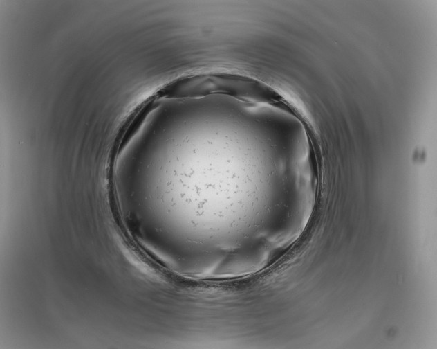 X0000096380389200802071518