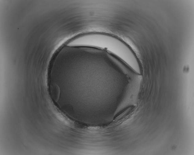 X0000096380391200802071518