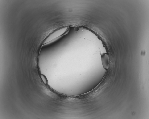 X0000096380393200802071518