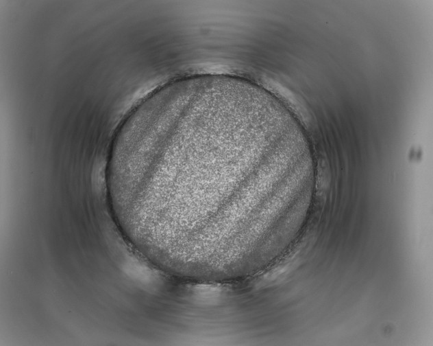 X0000096380394200802071518