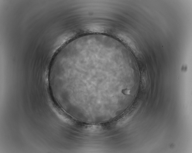 X0000096380398200802071518