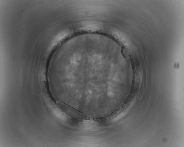 X0000096380399200802071518