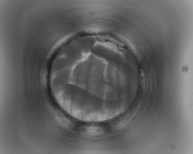 X0000096380400200802071518