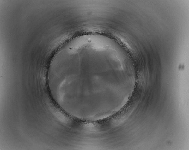 X0000096380402200802071518