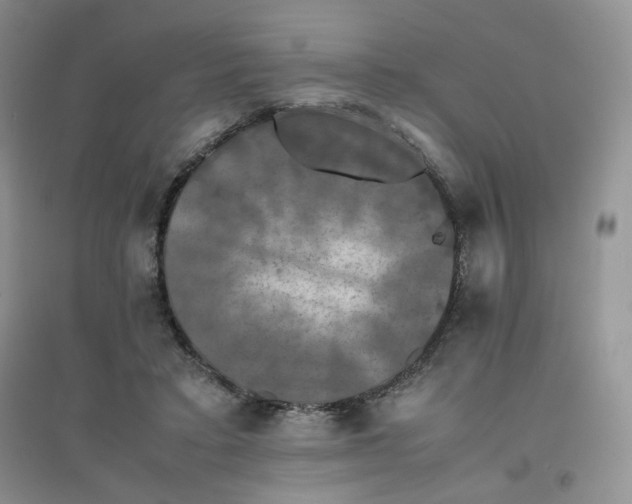 X0000096380403200802071518