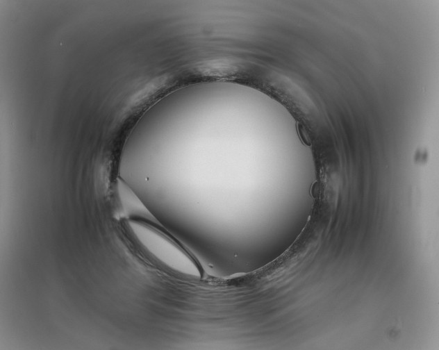 X0000096380404200802071518