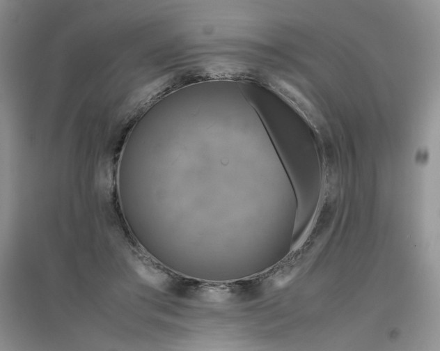 X0000096380405200802071518