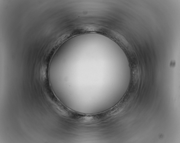 X0000096380406200802071518