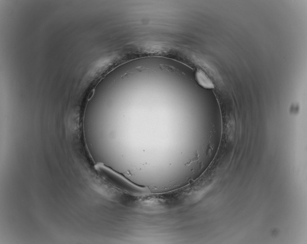 X0000096380407200802071518