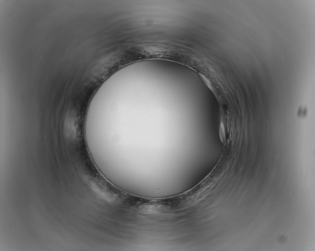 X0000096380408200802071518