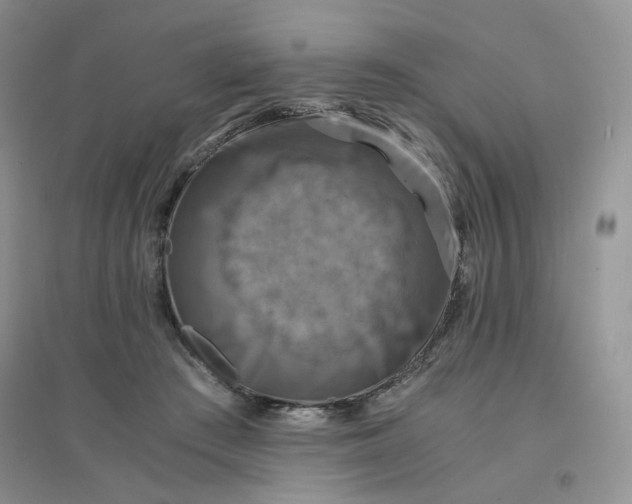 X0000096380409200802071518