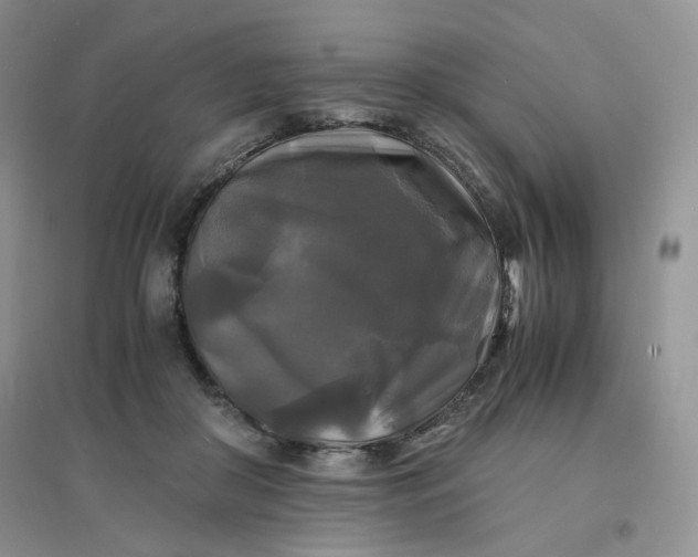 X0000096380410200802071518