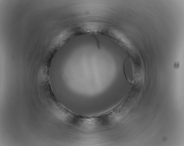 X0000096380411200802071518