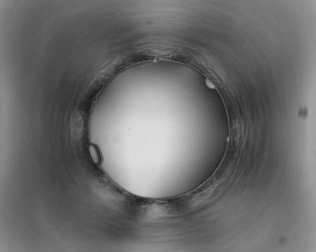 X0000096380412200802071518