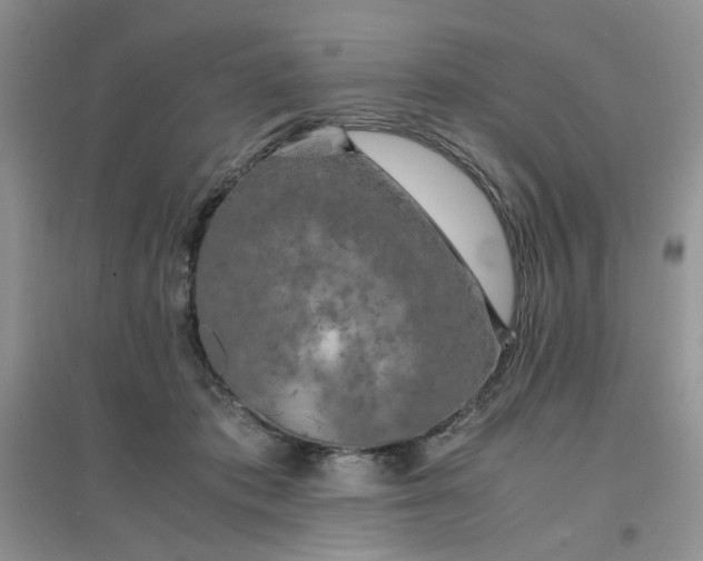 X0000096380413200802071518