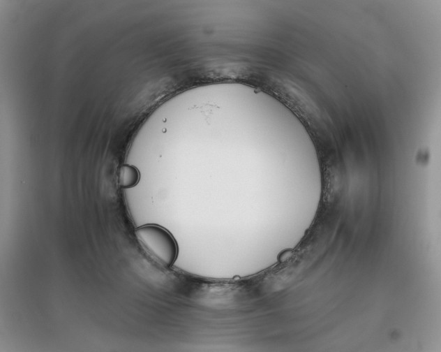 X0000096380414200802071518