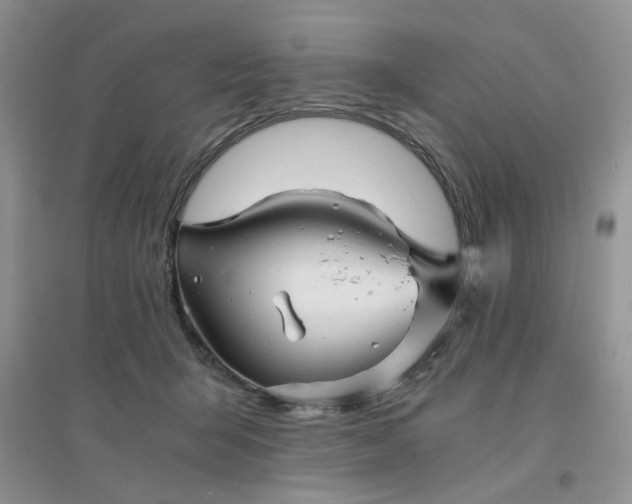 X0000096380415200802071518