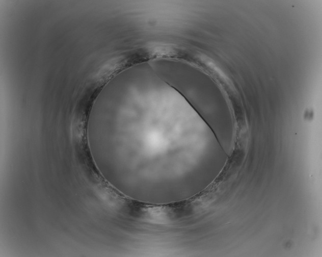 X0000096380417200802071518