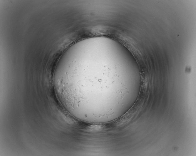 X0000096380418200802071518