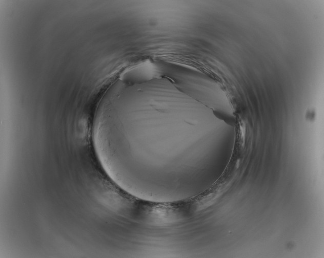 X0000096380420200802071518