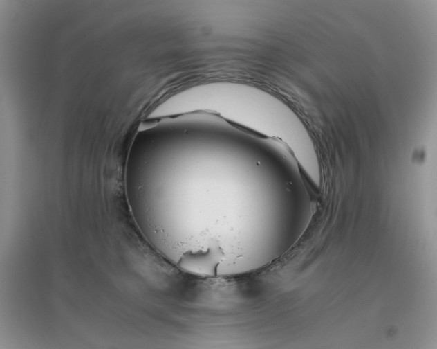 X0000096380421200802071517